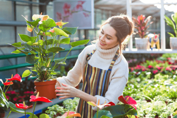 professionnels économie énergie